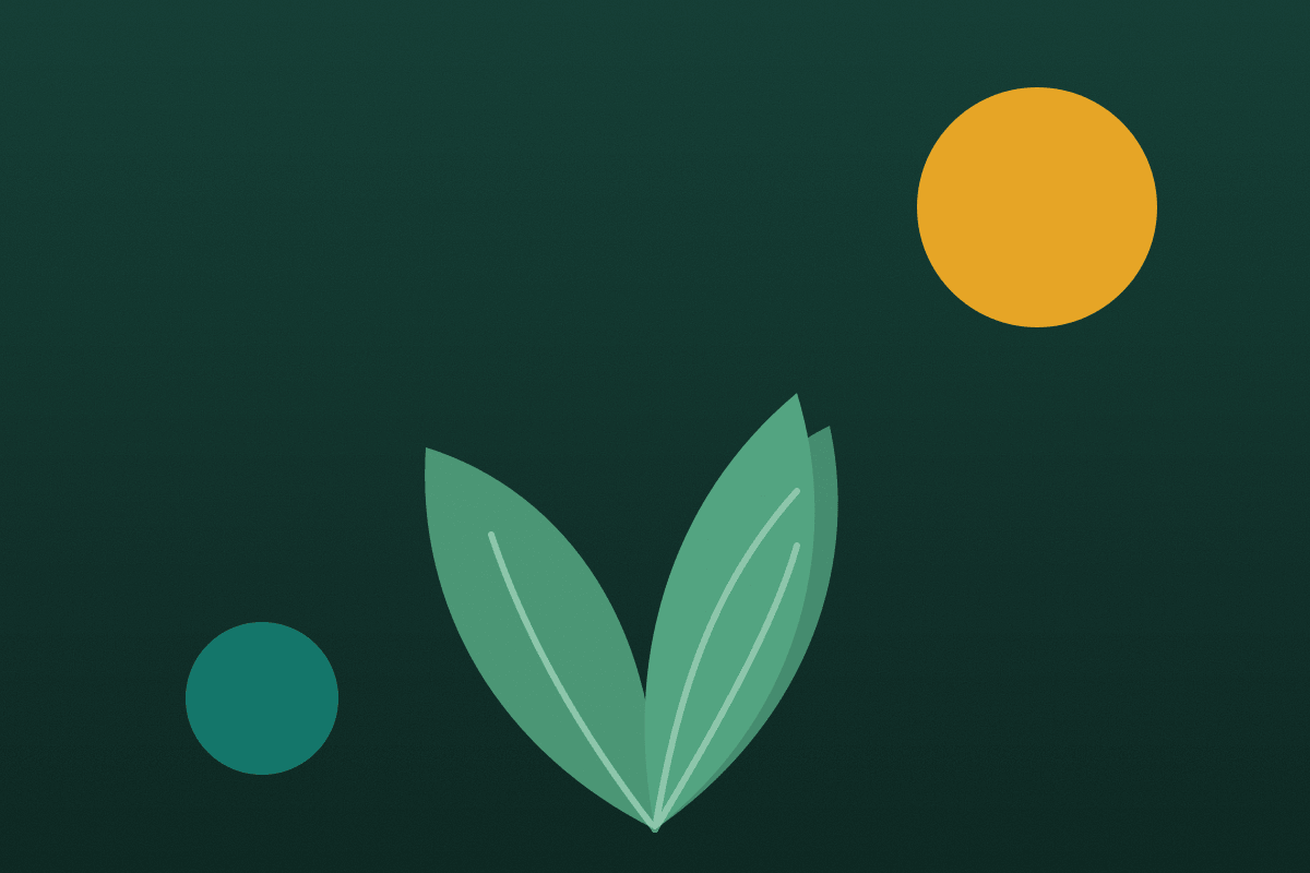 Large tropical leaves against deep green